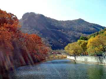 澳门期期准免费精准，金迈驰节油器